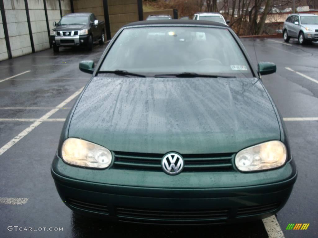 2002 Cabrio GLS - Bright Green Pearl / Black photo #7