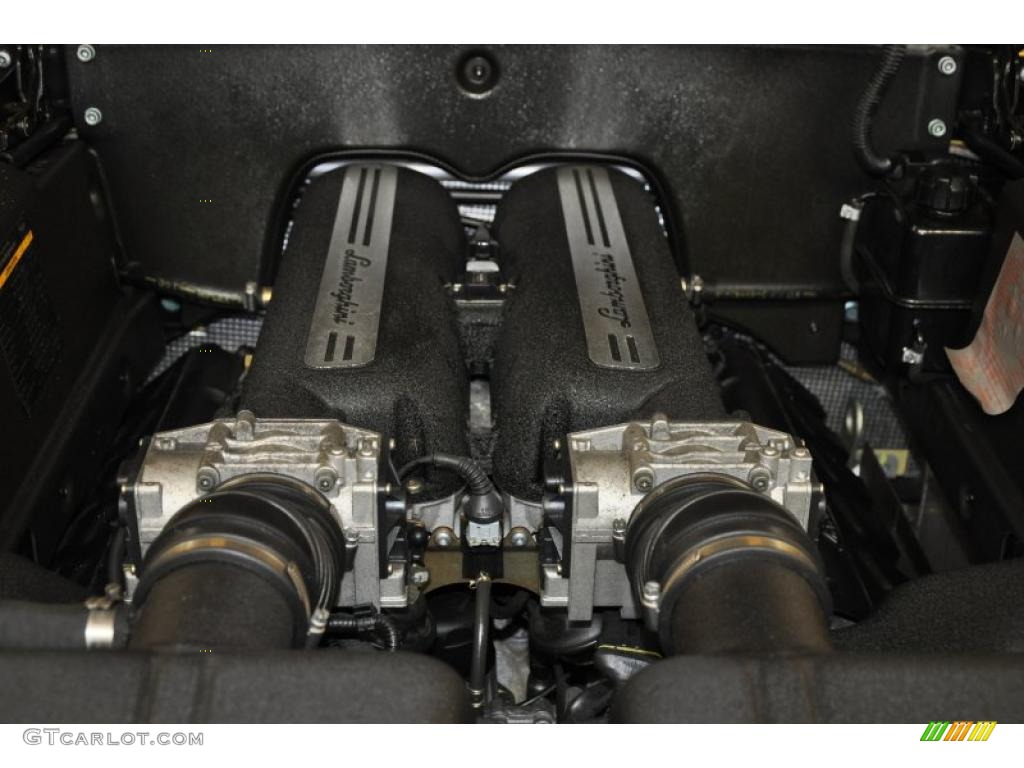 2004 Lamborghini Gallardo Coupe 5.0 Liter DOHC 40-Valve VVT V10 Engine Photo #45720028