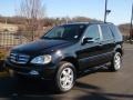Black - ML 350 4Matic Photo No. 1