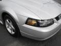 2004 Silver Metallic Ford Mustang V6 Convertible  photo #3