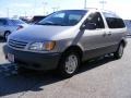 2001 Silver Shadow Pearl Toyota Sienna LE  photo #7