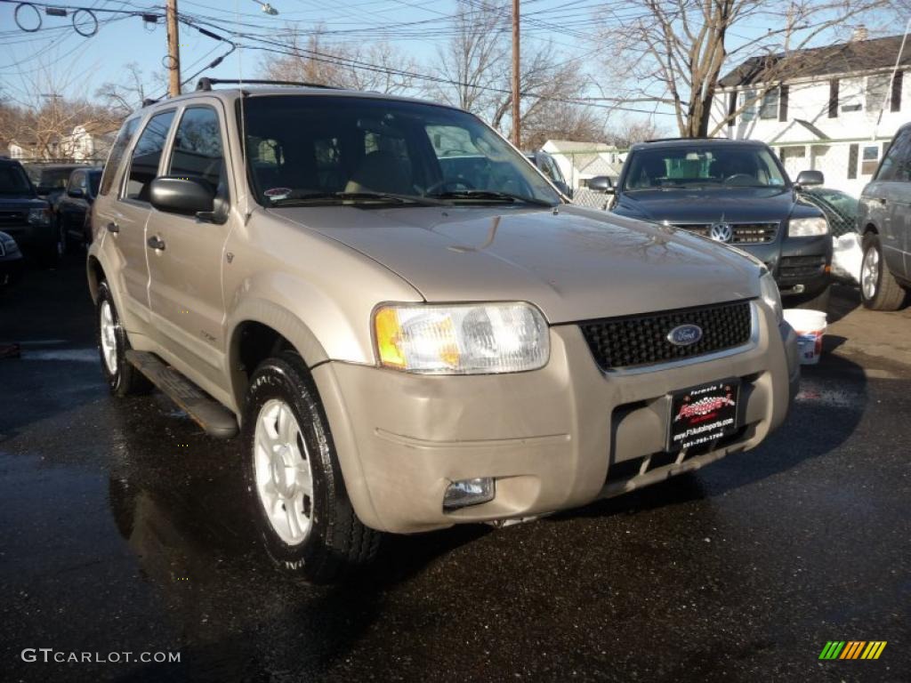 2001 Escape XLT V6 4WD - Light Parchment Gold Metallic / Medium Parchment Beige photo #1