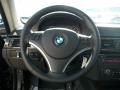 Black Steering Wheel Photo for 2010 BMW 3 Series #45739622