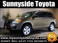 Pyrite Metallic - RAV4 I4 Photo No. 1