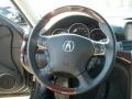 2009 Acura RL Ebony Interior Steering Wheel Photo