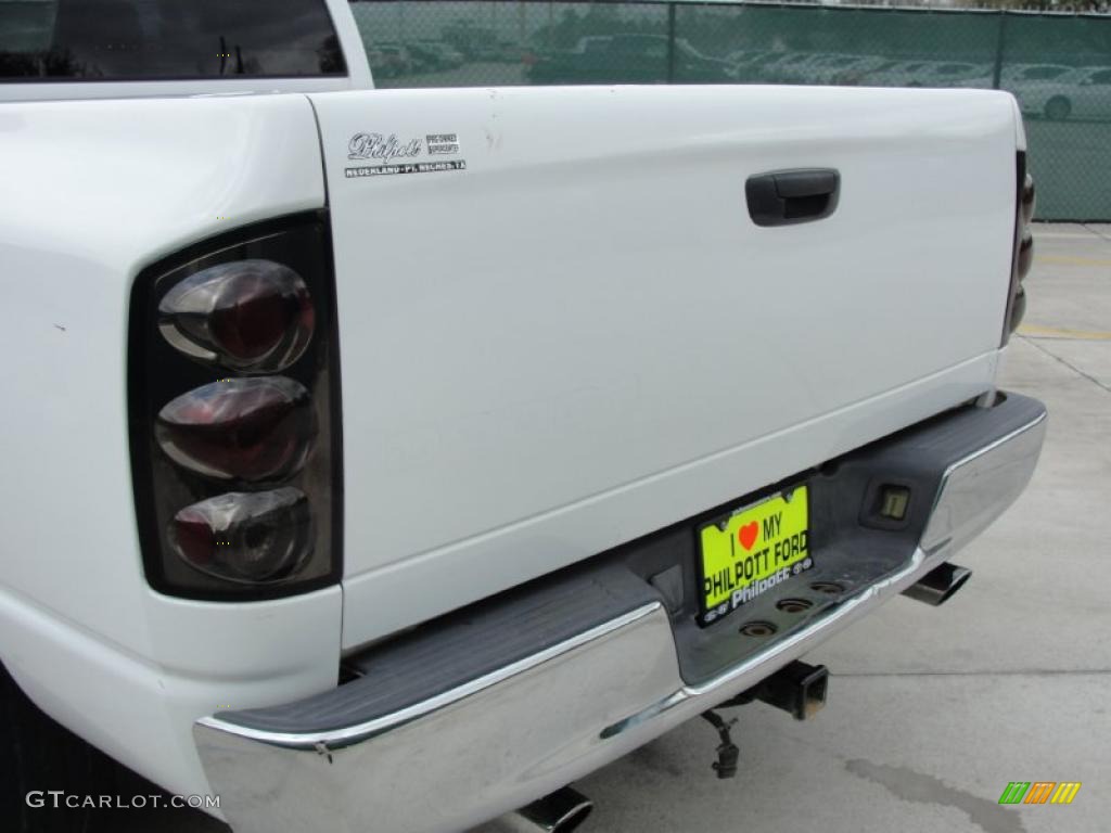 2002 Ram 1500 ST Quad Cab - Bright White / Dark Slate Gray photo #18