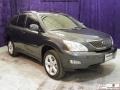 2007 Flint Gray Mica Lexus RX 350  photo #1