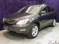 2007 Flint Gray Mica Lexus RX 350  photo #2