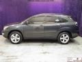 2007 Flint Gray Mica Lexus RX 350  photo #3