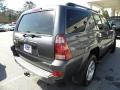 2004 Galactic Gray Mica Toyota 4Runner SR5  photo #13