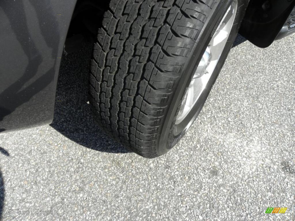 2004 4Runner SR5 - Galactic Gray Mica / Stone photo #18