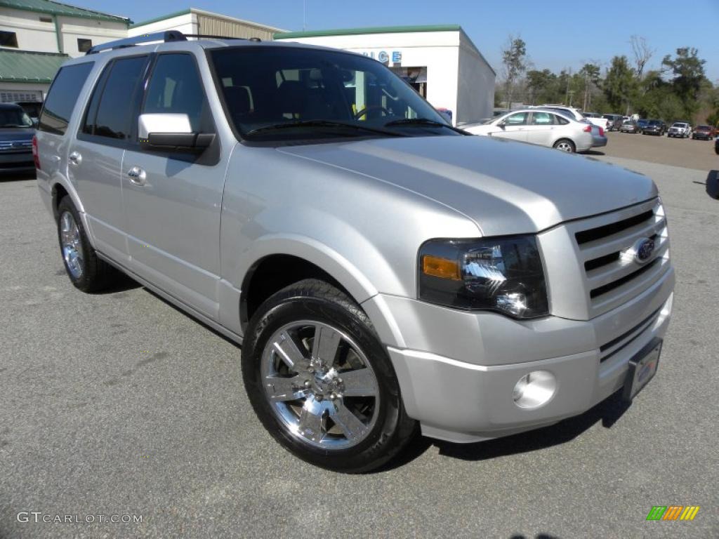 Ingot Silver Metallic 2010 Ford Expedition Limited Exterior Photo #45751478