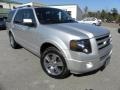 2010 Ingot Silver Metallic Ford Expedition Limited  photo #1