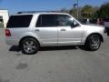 2010 Ingot Silver Metallic Ford Expedition Limited  photo #16