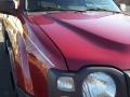 Molten Lava Metallic - Xterra SE V6 Photo No. 18