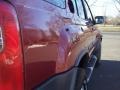 Molten Lava Metallic - Xterra SE V6 Photo No. 25
