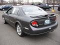 Gray Lustre Metallic - Maxima SE Photo No. 6