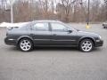 Gray Lustre Metallic - Maxima SE Photo No. 7