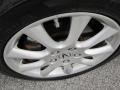 Carbon Gray Pearl - TSX Sedan Photo No. 9