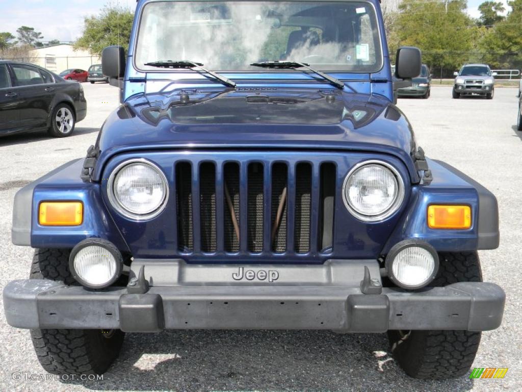 2004 Wrangler X 4x4 - Patriot Blue Pearl / Dark Slate Gray photo #8