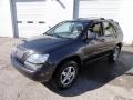 2002 Graphite Gray Pearl Lexus RX 300 AWD  photo #2