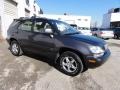 Graphite Gray Pearl - RX 300 AWD Photo No. 6