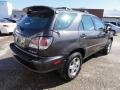 2002 Graphite Gray Pearl Lexus RX 300 AWD  photo #8