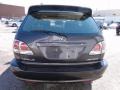 2002 Graphite Gray Pearl Lexus RX 300 AWD  photo #9