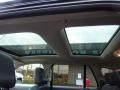 Charcoal Sunroof Photo for 2008 Ford Edge #45771576