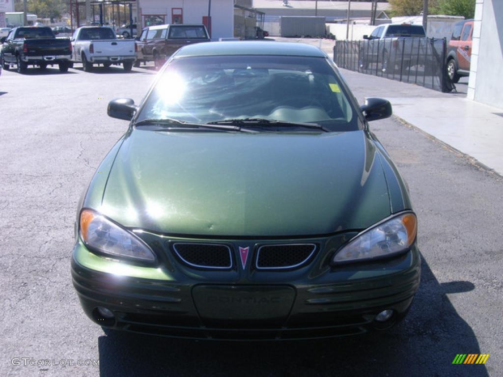 2000 Grand Am SE Sedan - Spruce Green Metallic / Dark Pewter photo #4