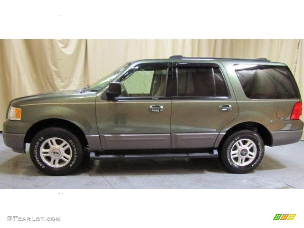 2003 Expedition XLT 4x4 - Estate Green Metallic / Medium Parchment photo #2