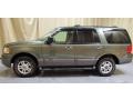 2003 Estate Green Metallic Ford Expedition XLT 4x4  photo #2