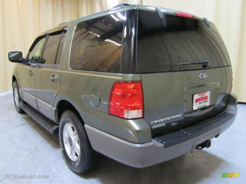 2003 Expedition XLT 4x4 - Estate Green Metallic / Medium Parchment photo #6