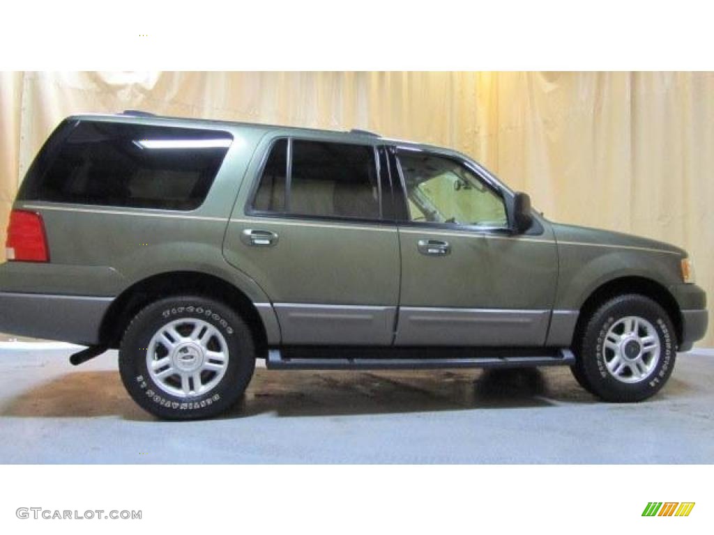 2003 Expedition XLT 4x4 - Estate Green Metallic / Medium Parchment photo #8