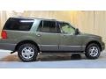 2003 Estate Green Metallic Ford Expedition XLT 4x4  photo #8