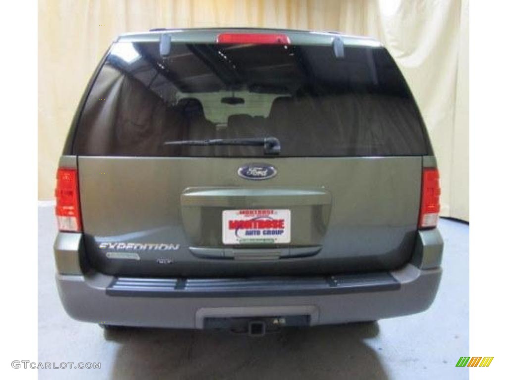 2003 Expedition XLT 4x4 - Estate Green Metallic / Medium Parchment photo #10