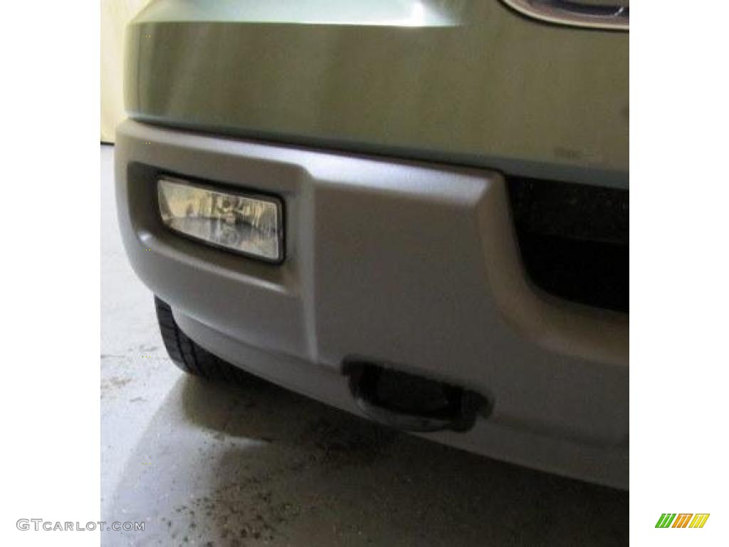 2003 Expedition XLT 4x4 - Estate Green Metallic / Medium Parchment photo #34