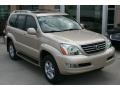 Savannah Beige Metallic - GX 470 Photo No. 13