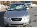 Steel Gray - Sonata GLS V6 Photo No. 2