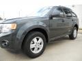 2009 Black Pearl Slate Metallic Ford Escape XLT  photo #3