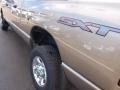 Light Khaki Metallic - Ram 2500 SXT Mega Cab 4x4 Photo No. 4