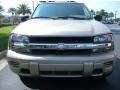 Sandstone Metallic - TrailBlazer LS 4x4 Photo No. 3