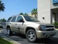 Sandstone Metallic - TrailBlazer LS 4x4 Photo No. 4