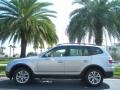Titanium Silver Metallic - X3 xDrive30i Photo No. 1