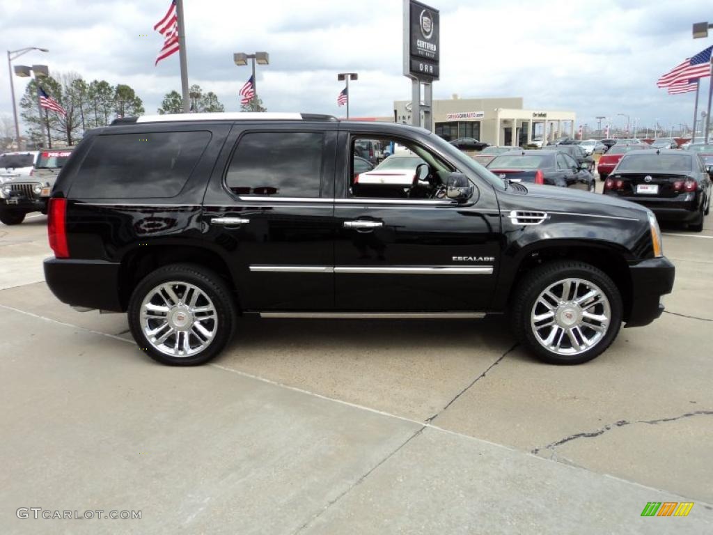 Black Raven 2011 Cadillac Escalade Platinum Exterior Photo #45803653