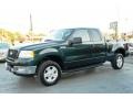2004 Aspen Green Metallic Ford F150 XLT SuperCab 4x4  photo #3