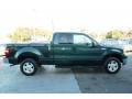 2004 Aspen Green Metallic Ford F150 XLT SuperCab 4x4  photo #5