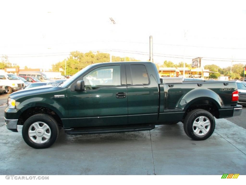 2004 F150 XLT SuperCab 4x4 - Aspen Green Metallic / Tan photo #6