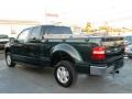 2004 Aspen Green Metallic Ford F150 XLT SuperCab 4x4  photo #10