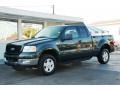 2004 Aspen Green Metallic Ford F150 XLT SuperCab 4x4  photo #50